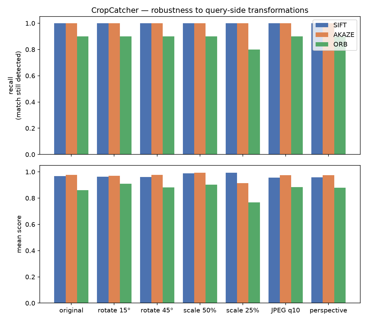 Robustness to query-side transformations